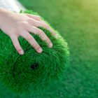 The Ultimate Guide to Artificial Grass Care 5 Key Tips