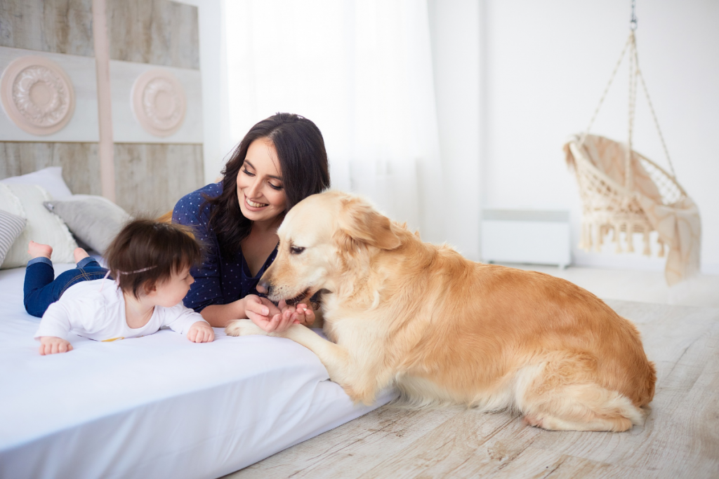 Top 8 Most Pet-Friendly Communities In Dubai