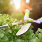 Essential Tips to make your Apartment Garden ready for Summer