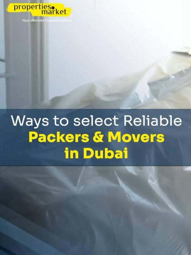 Best Packers and Movers in Dubai | properties.market