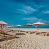 Best places to visit in Abu Dhabi