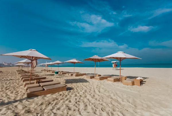 Best places to visit in Abu Dhabi